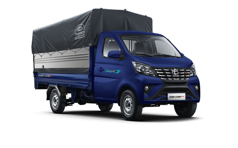 TERA STAR MUI BẠT